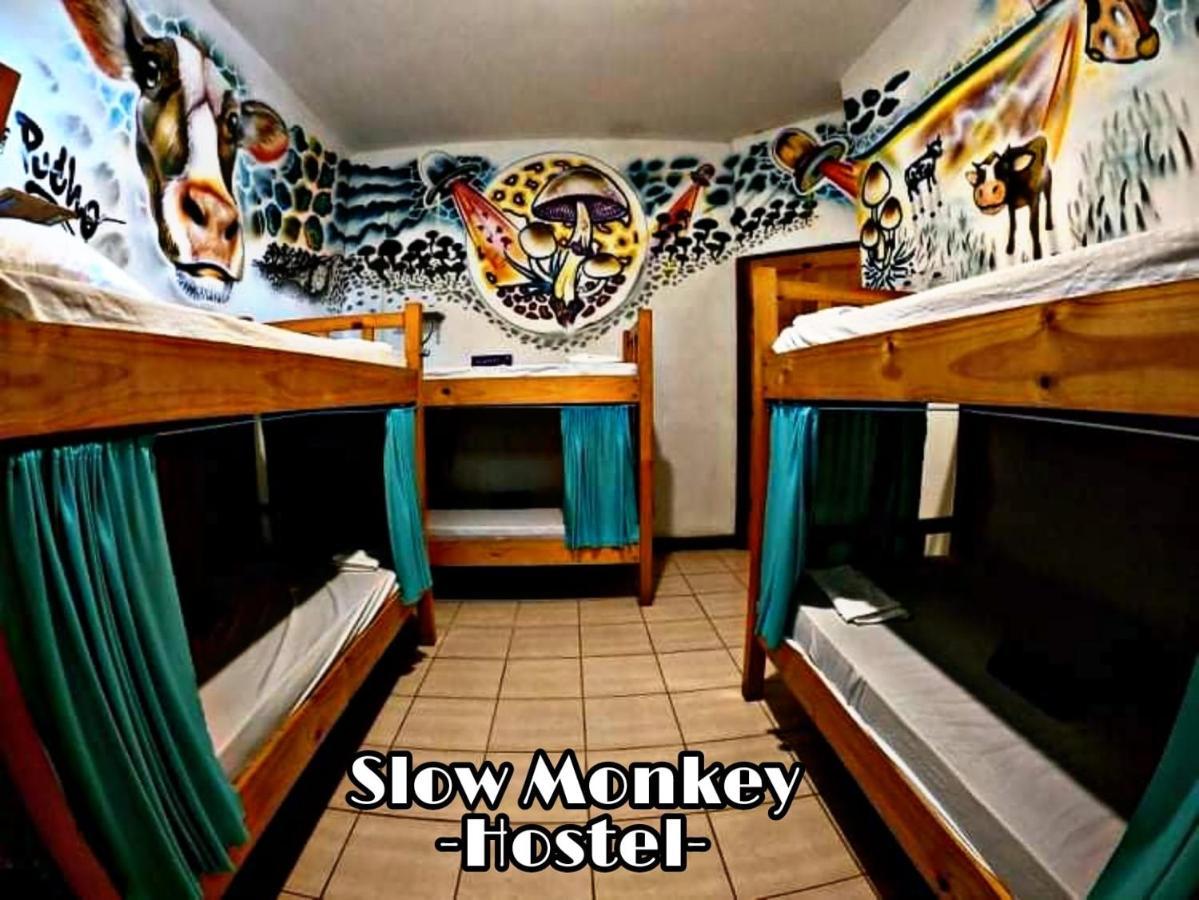 Slow Monkey Hostel Playa Santa Teresa  외부 사진