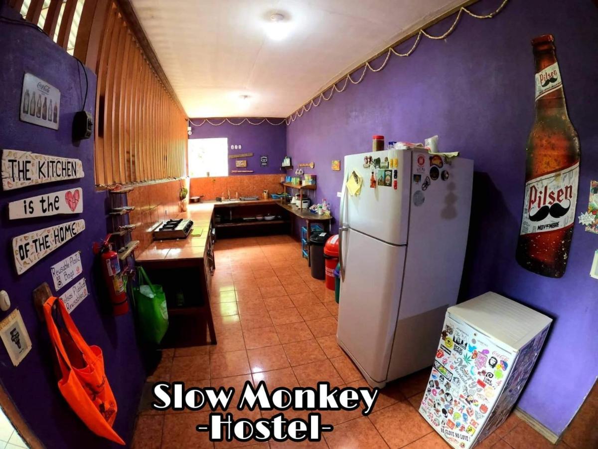 Slow Monkey Hostel Playa Santa Teresa  외부 사진