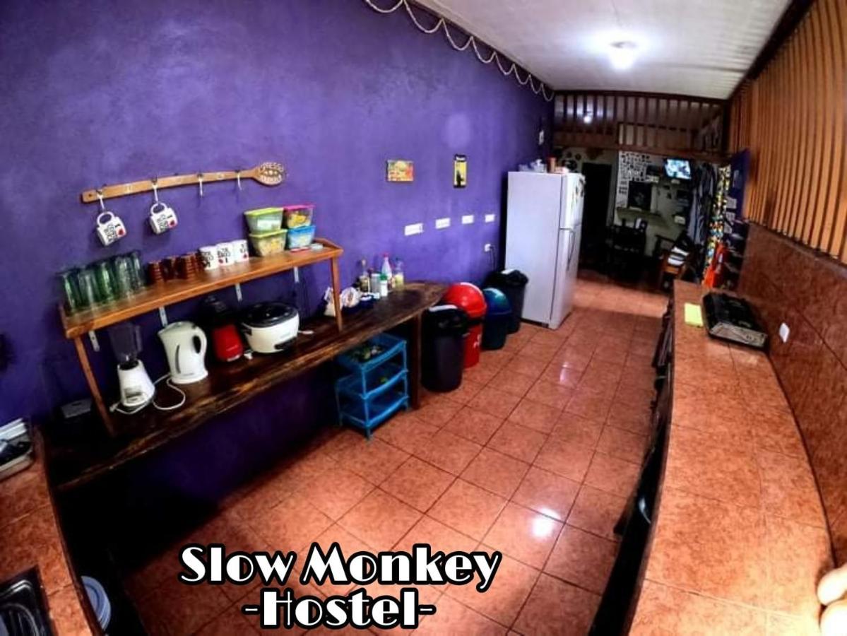 Slow Monkey Hostel Playa Santa Teresa  외부 사진