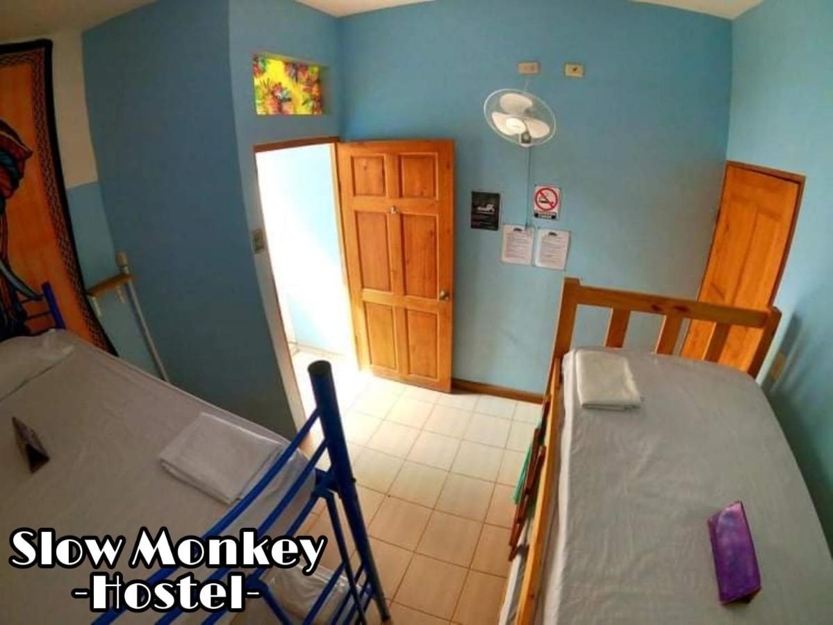 Slow Monkey Hostel Playa Santa Teresa  외부 사진