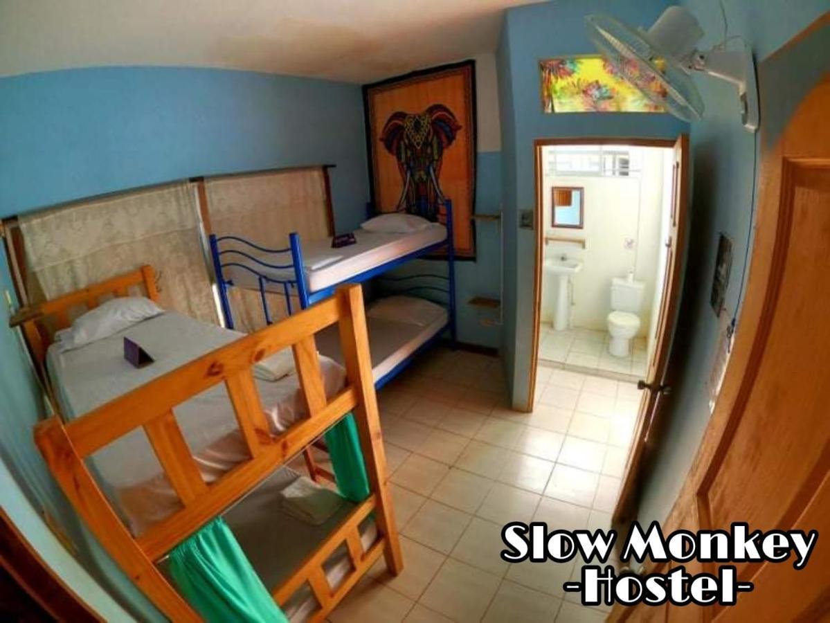 Slow Monkey Hostel Playa Santa Teresa  외부 사진