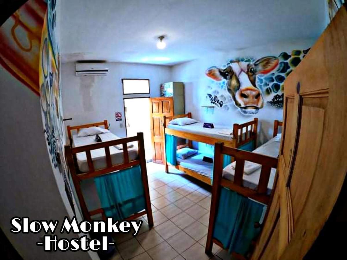 Slow Monkey Hostel Playa Santa Teresa  외부 사진