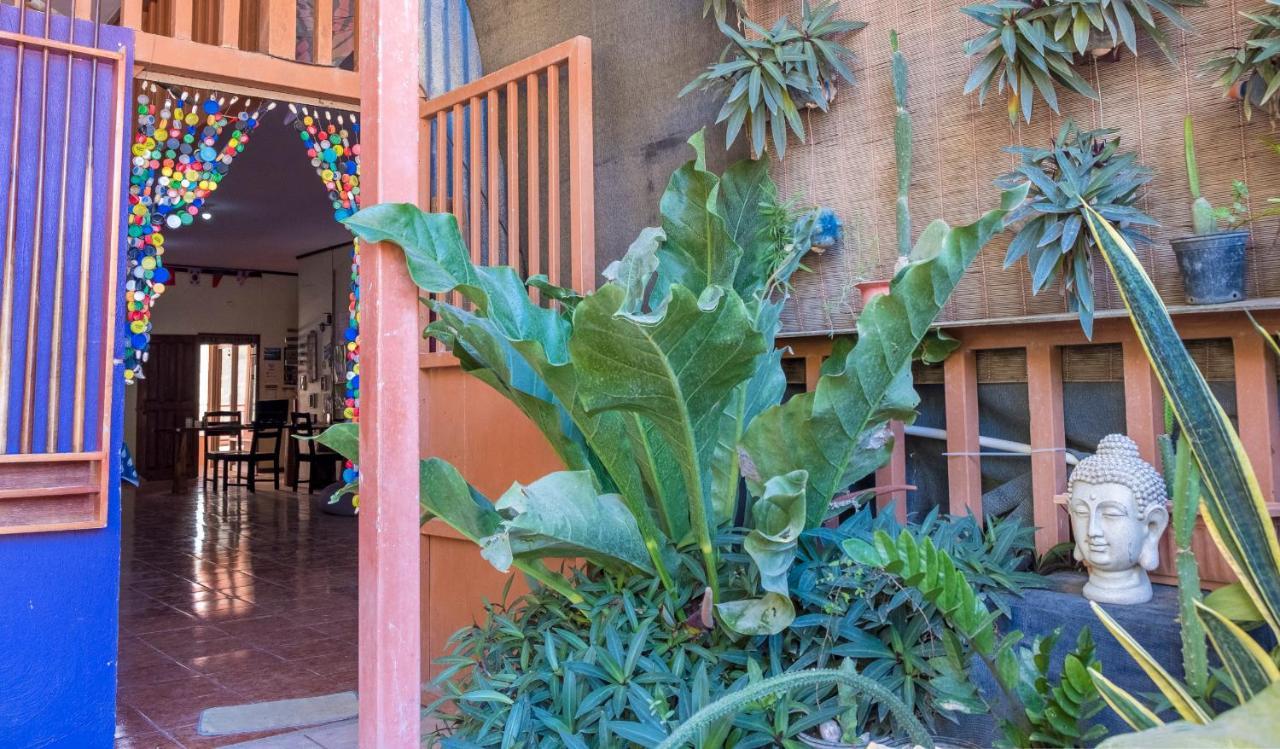 Slow Monkey Hostel Playa Santa Teresa  외부 사진